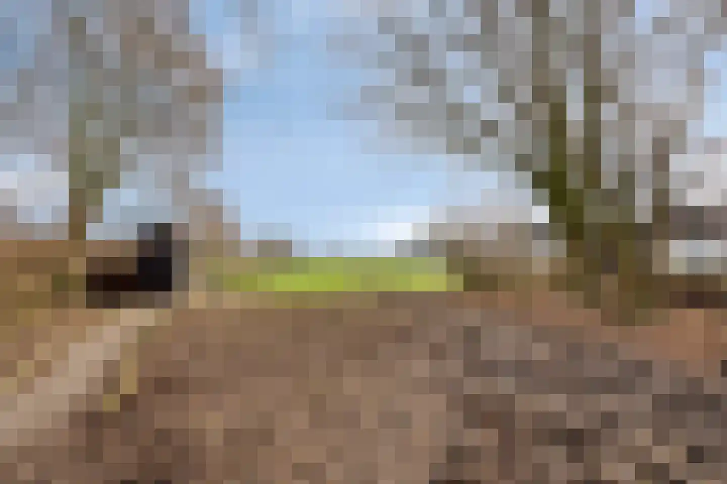 Achterdijk 3 Rossum thumbnail 89