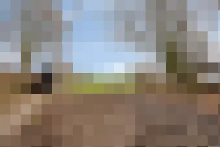 Achterdijk 3 Rossum thumbnail 89