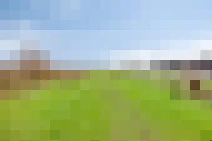 Achterdijk 3 Rossum thumbnail 90