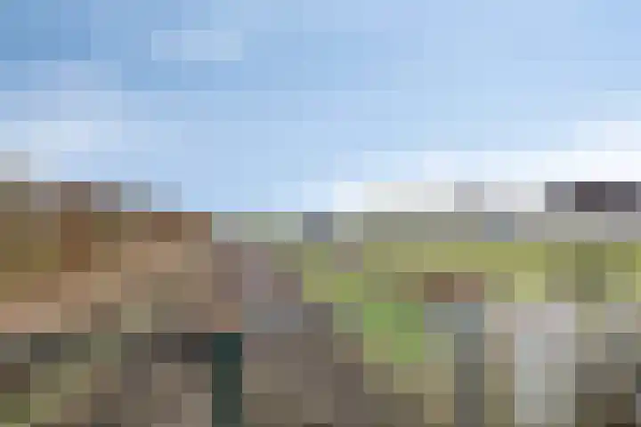 Achterdijk 3 Rossum thumbnail 91
