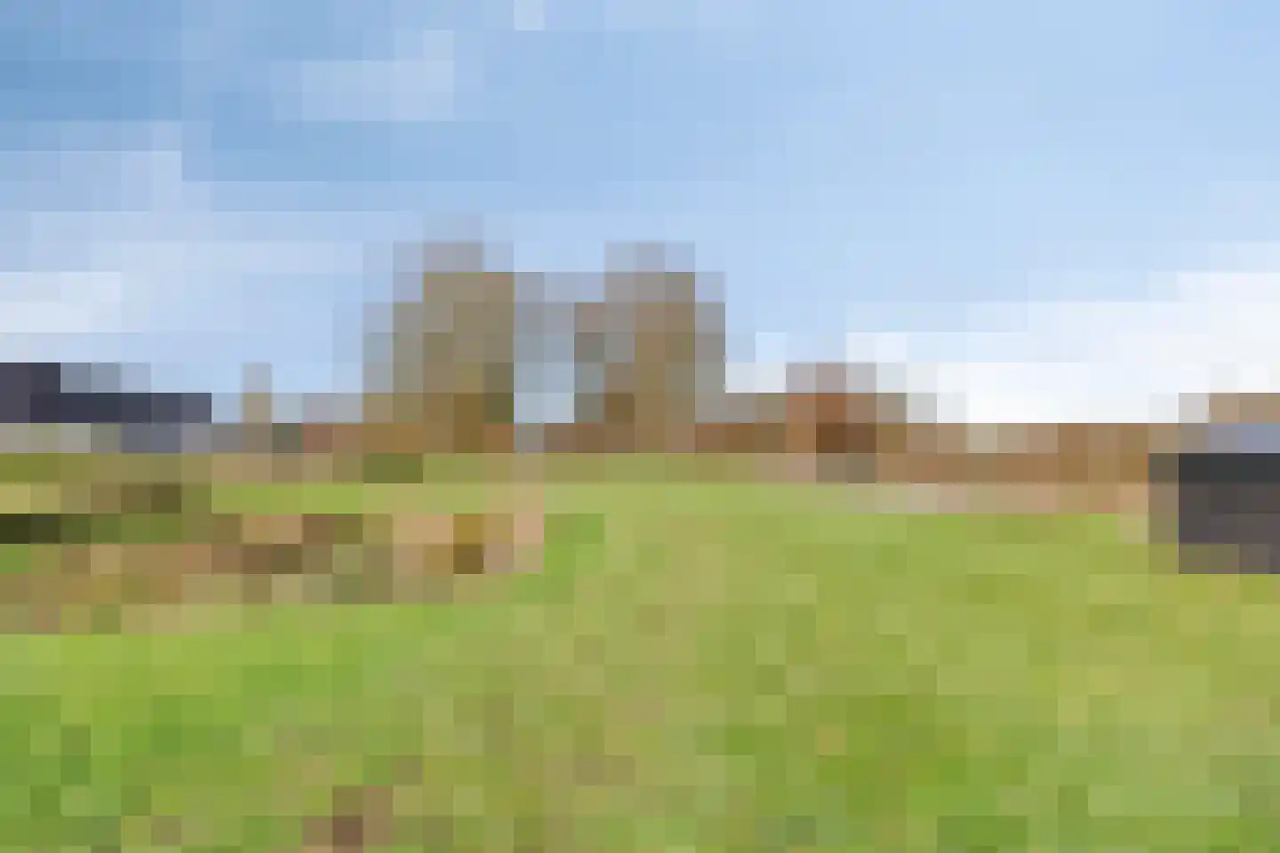 Achterdijk 3 Rossum thumbnail 92