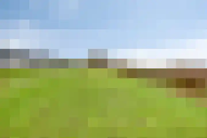 Achterdijk 3 Rossum thumbnail 93