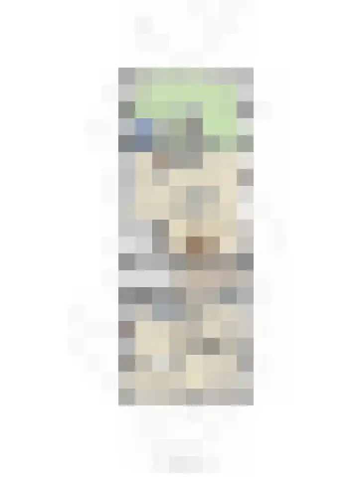 Achterdijk 3 Rossum thumbnail 96