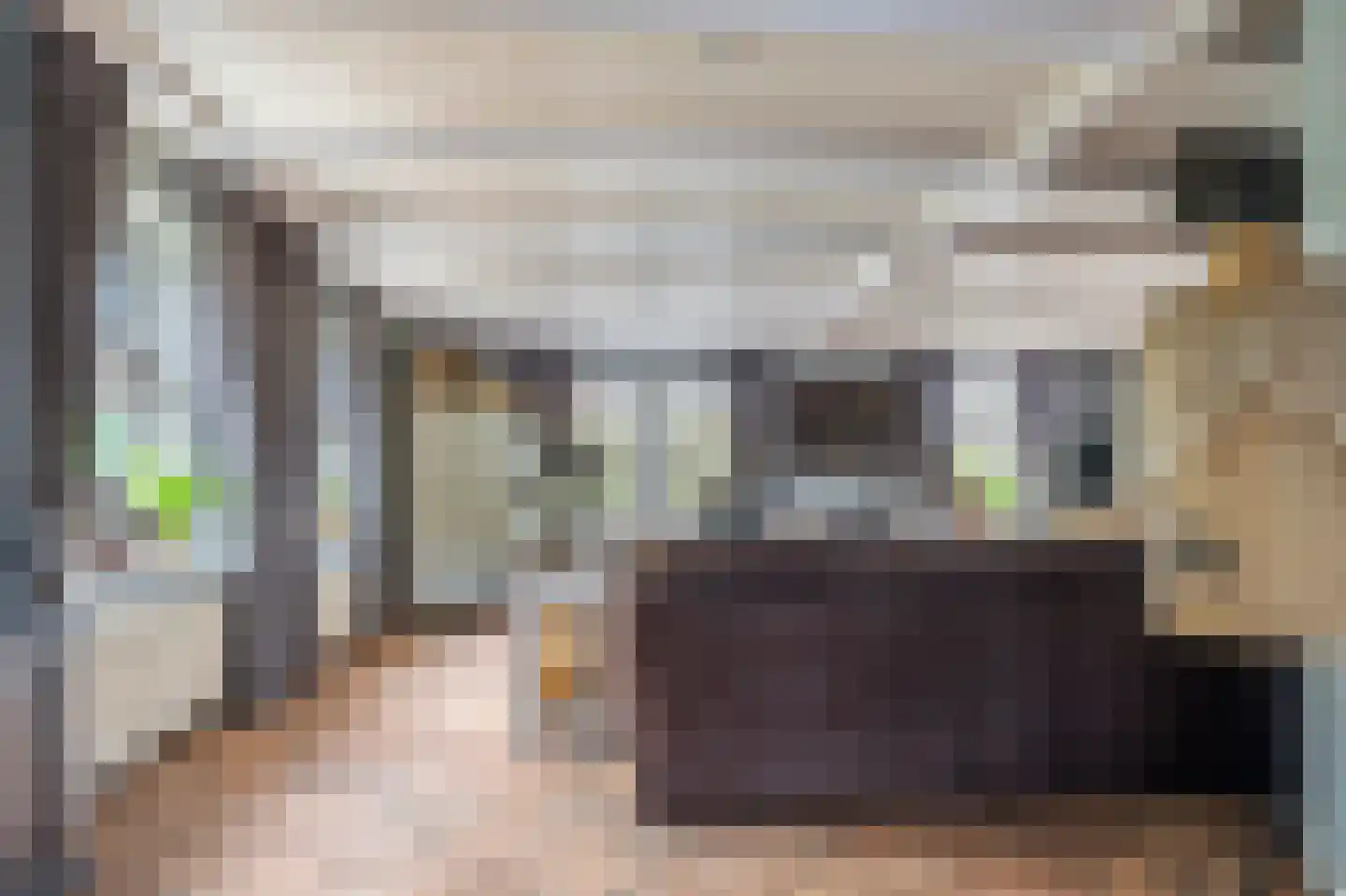 Achterdijk 32 Nieuwland thumbnail 5