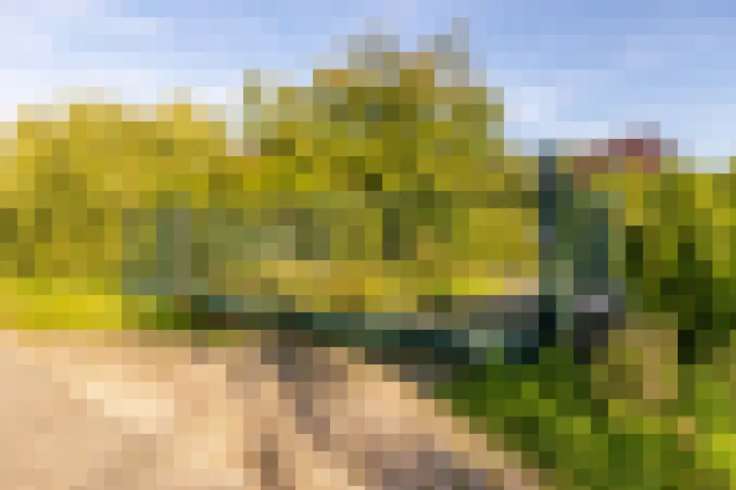 Achterdijk 36 Rhoon thumbnail 10