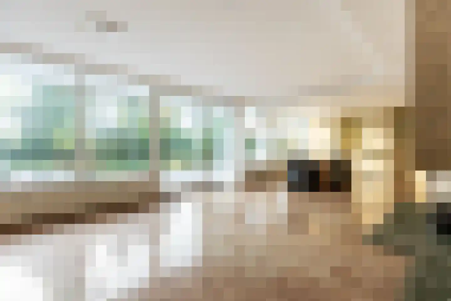 Achterdijk 36 Rhoon thumbnail 13