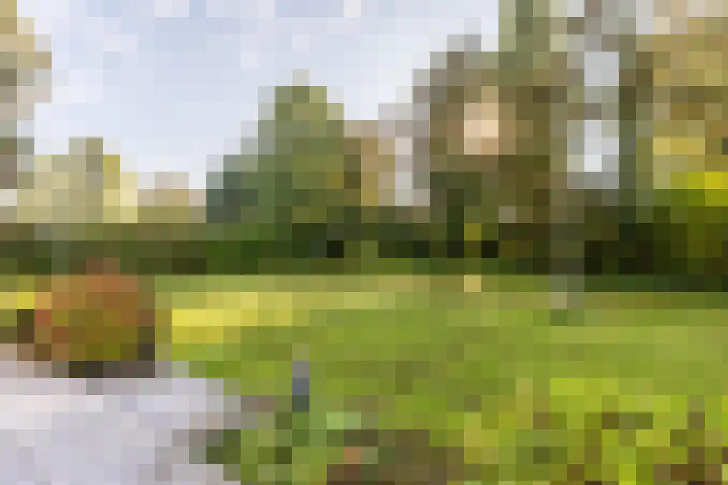 Achterdijk 36 Rhoon thumbnail 17