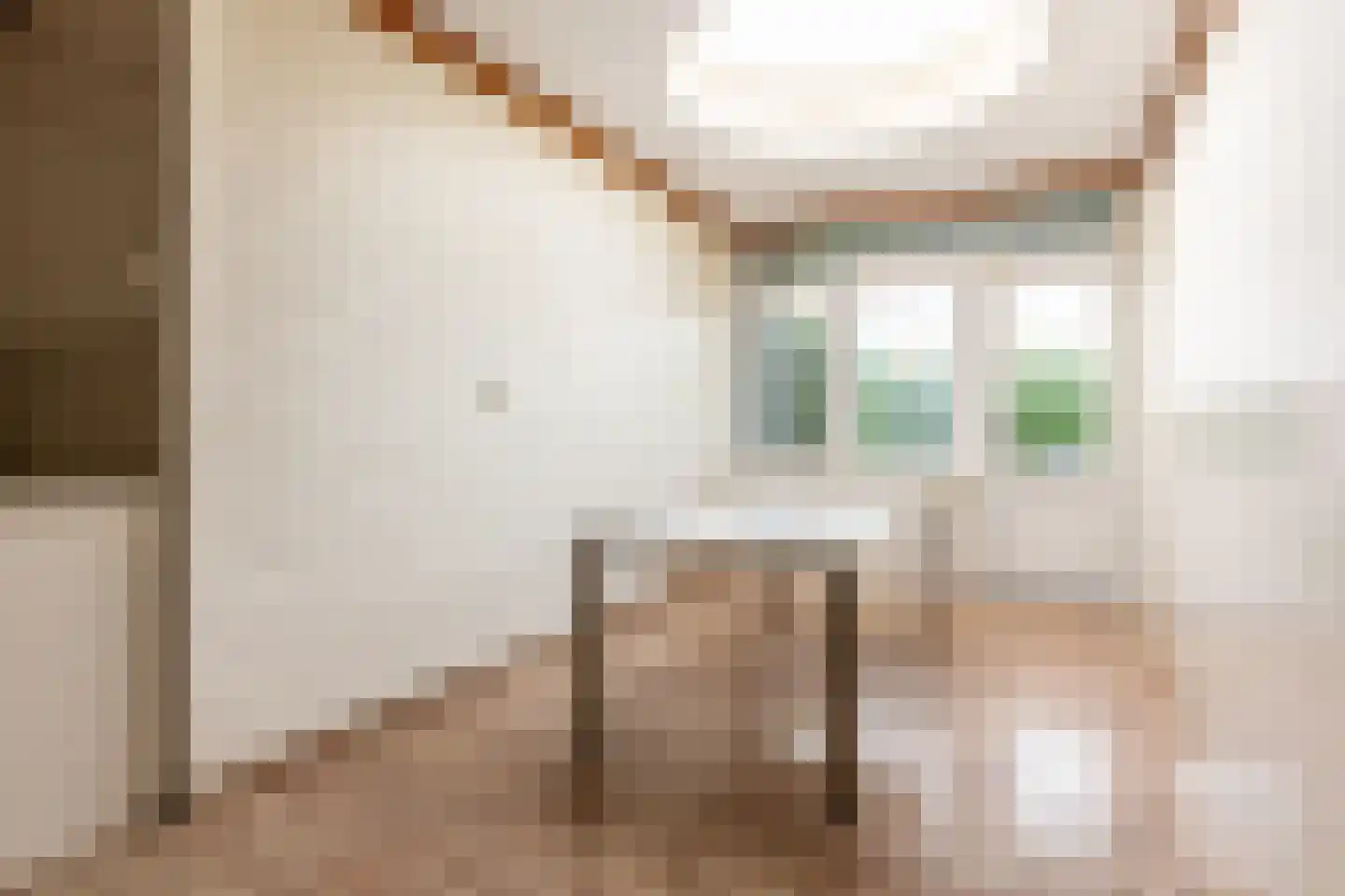 Achterdijk 36 Rhoon thumbnail 25