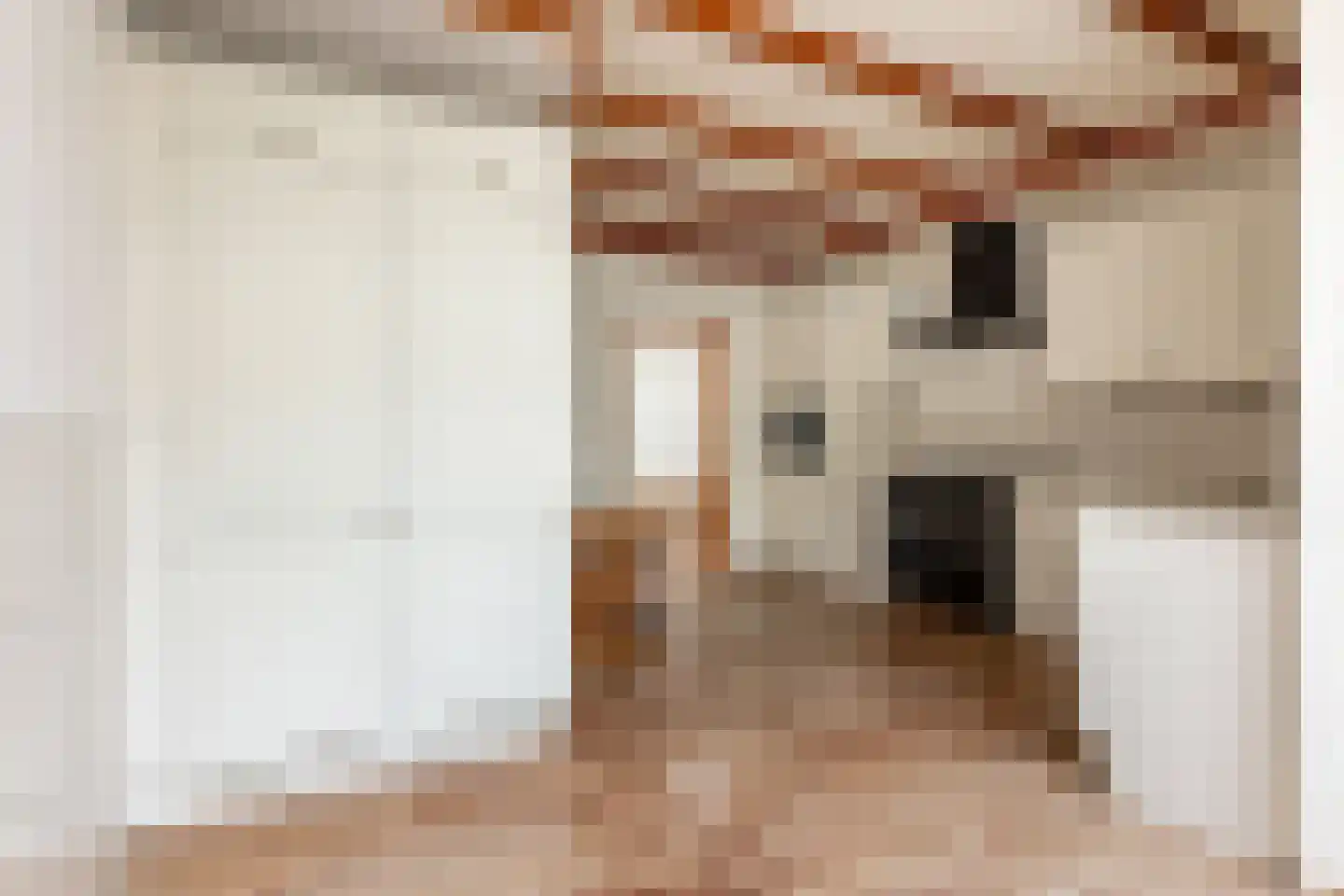 Achterdijk 36 Rhoon thumbnail 27