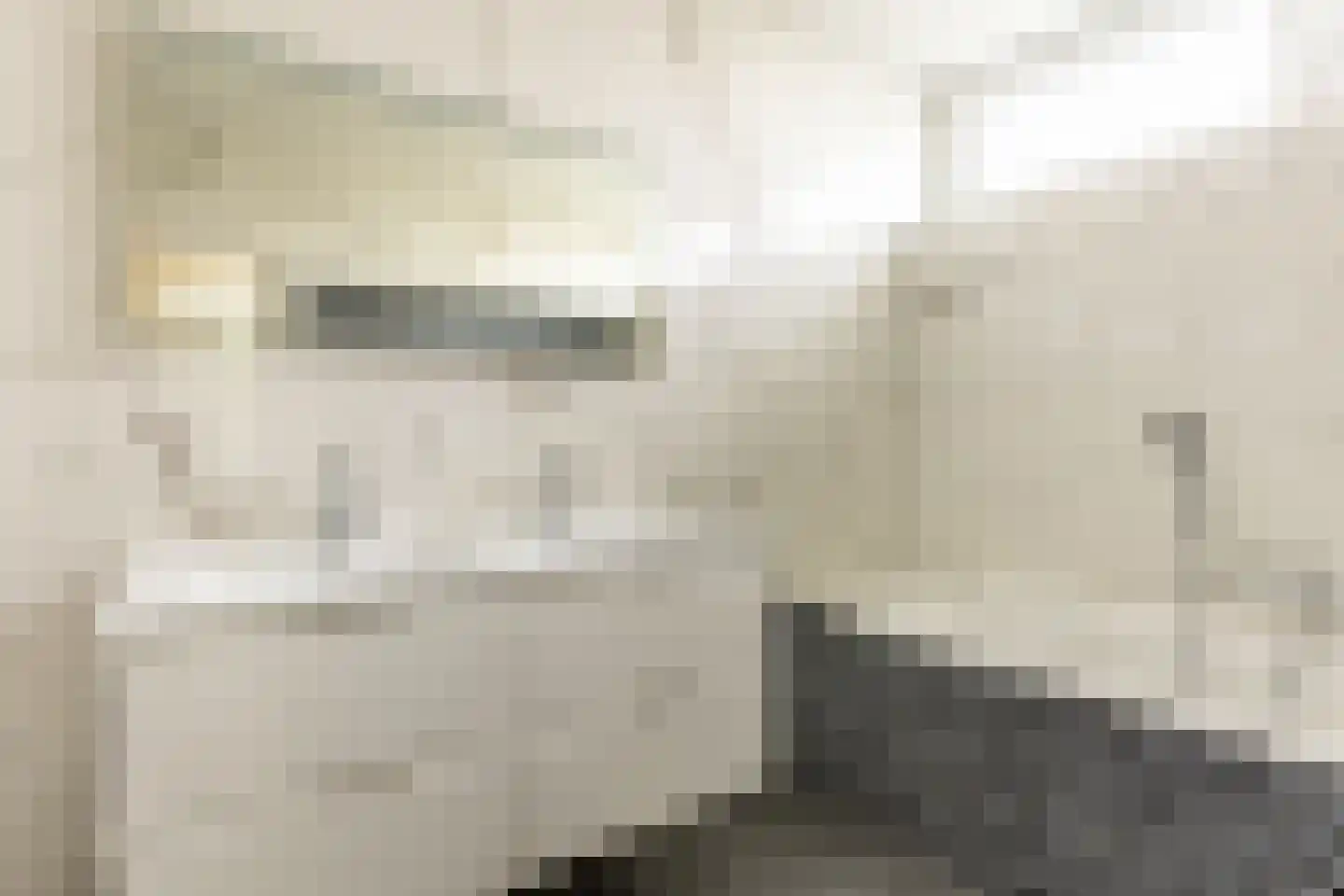 Achterdijk 36 Rhoon thumbnail 32