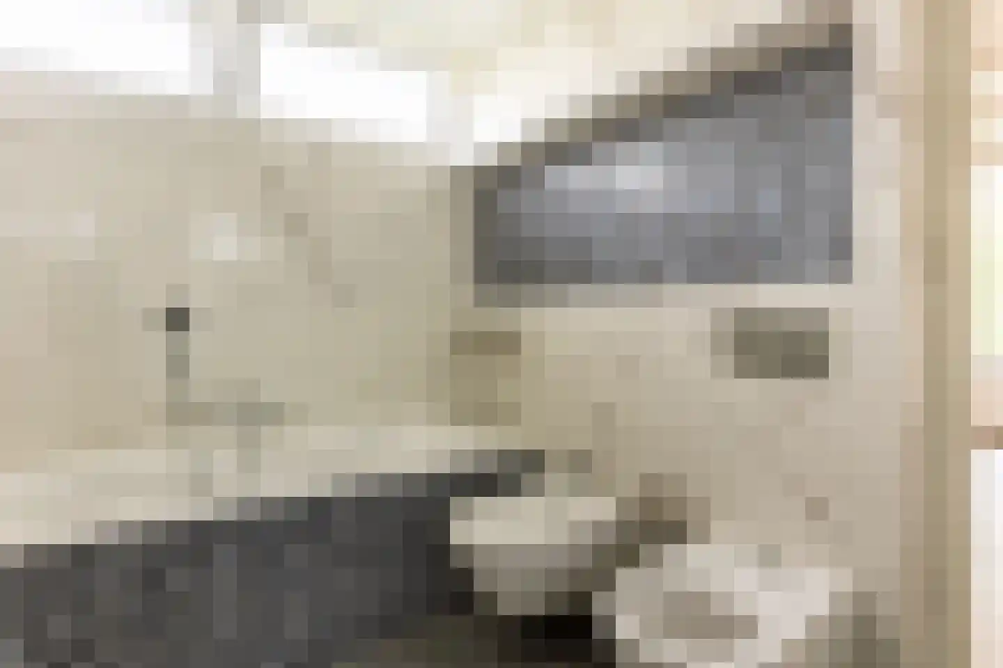 Achterdijk 36 Rhoon thumbnail 34