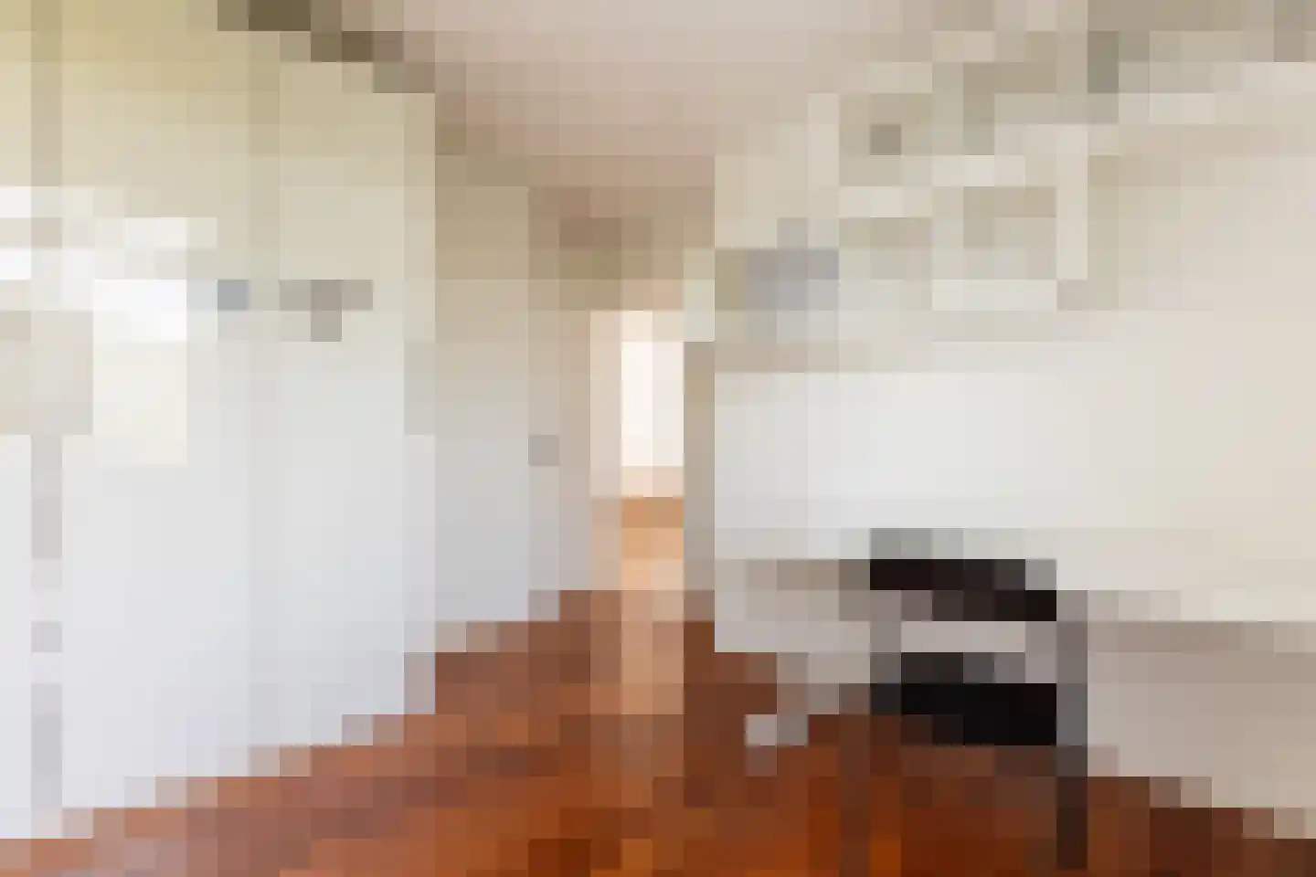 Achterdijk 36 Rhoon thumbnail 36