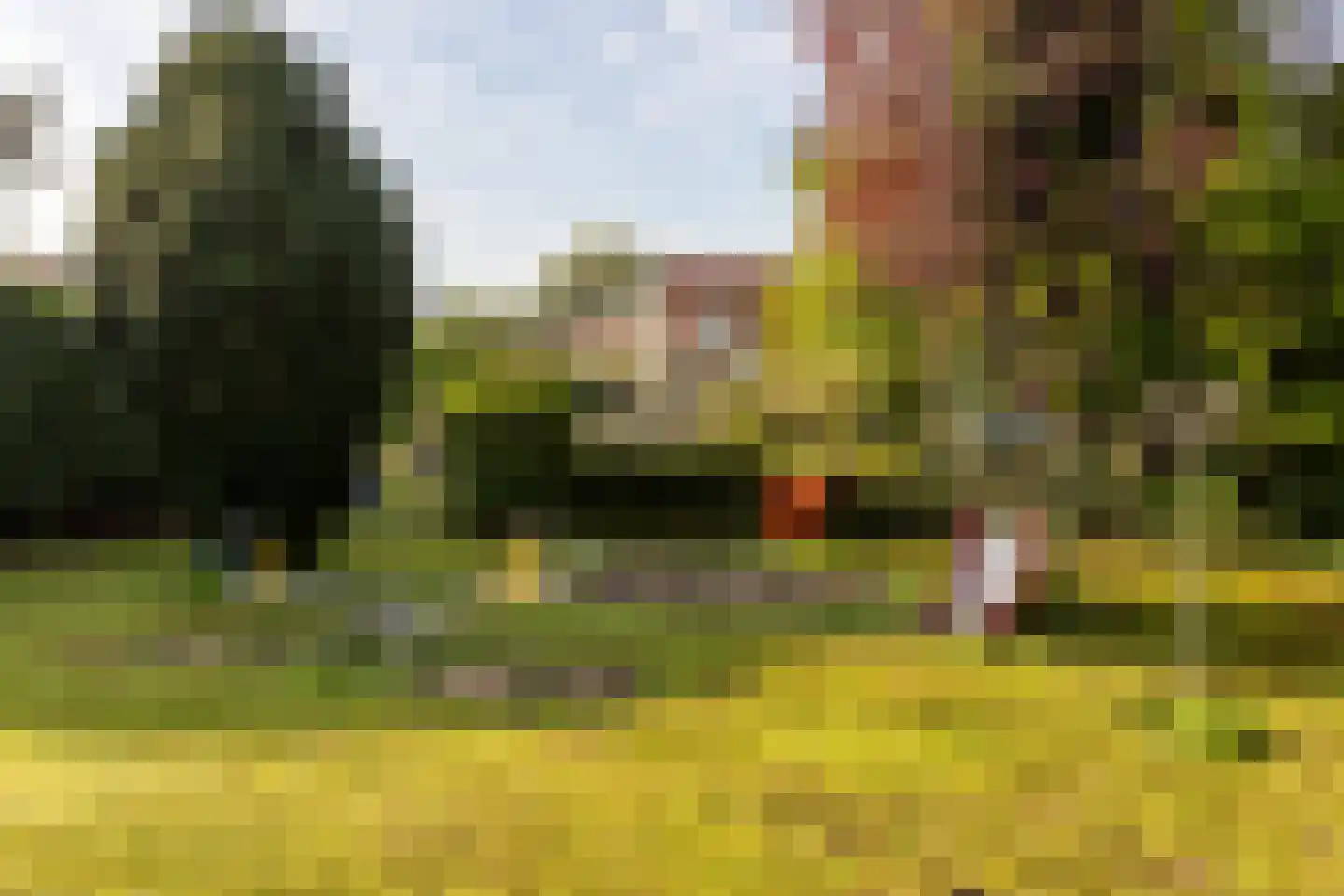 Achterdijk 36 Rhoon thumbnail 52