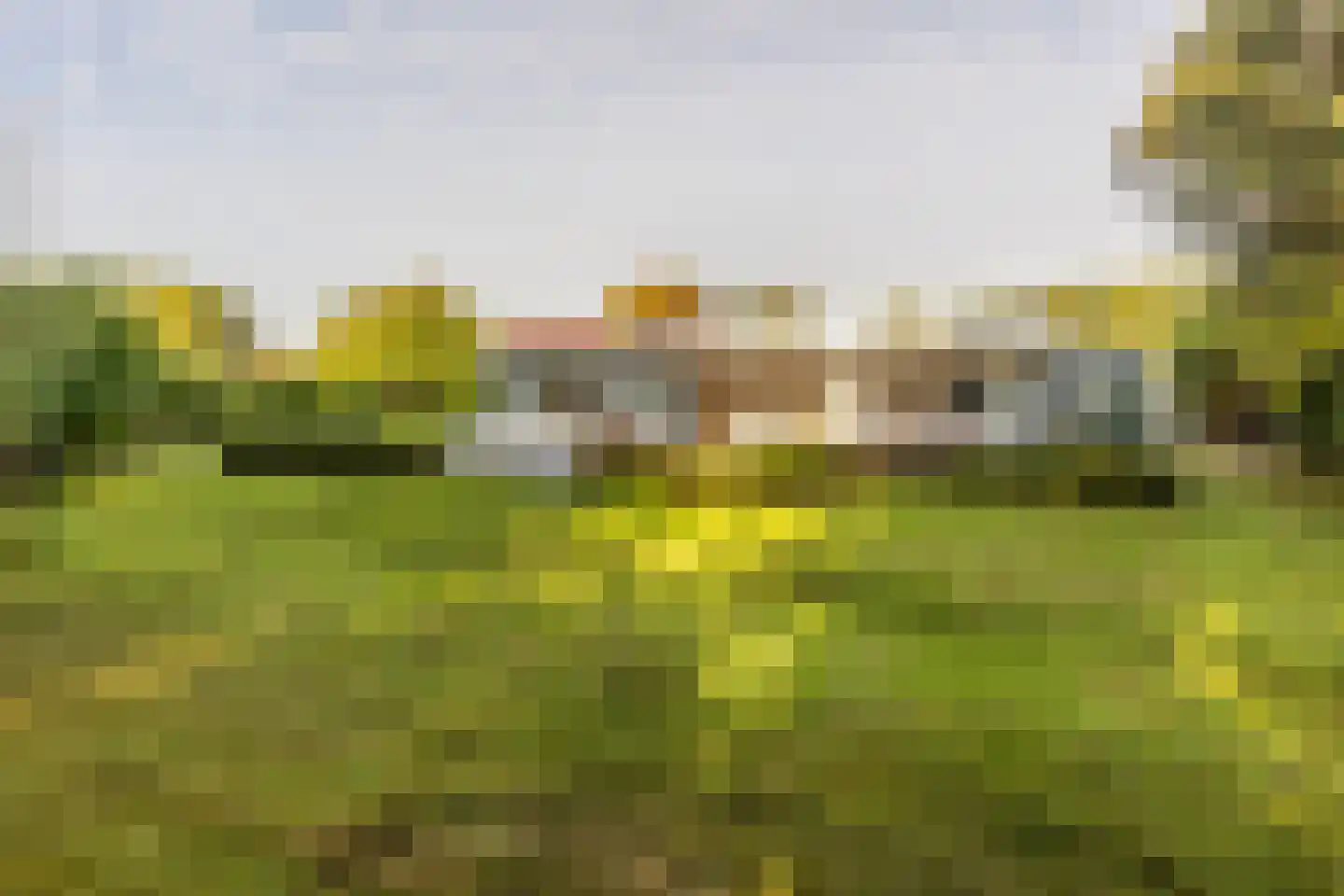 Achterdijk 36 Rhoon thumbnail 53