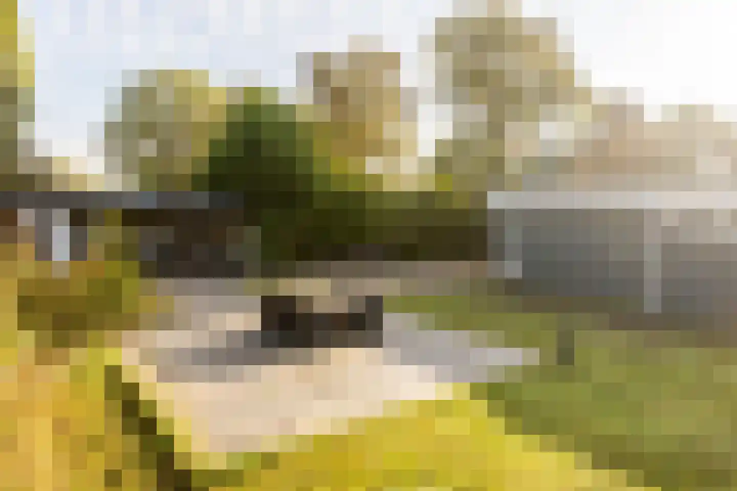 Achterdijk 36 Rhoon thumbnail 56