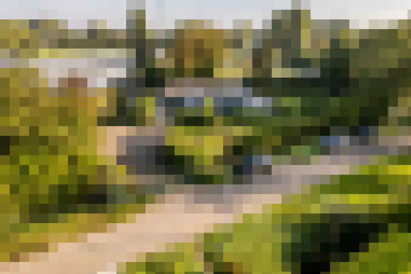 Achterdijk 36 Rhoon thumbnail 59