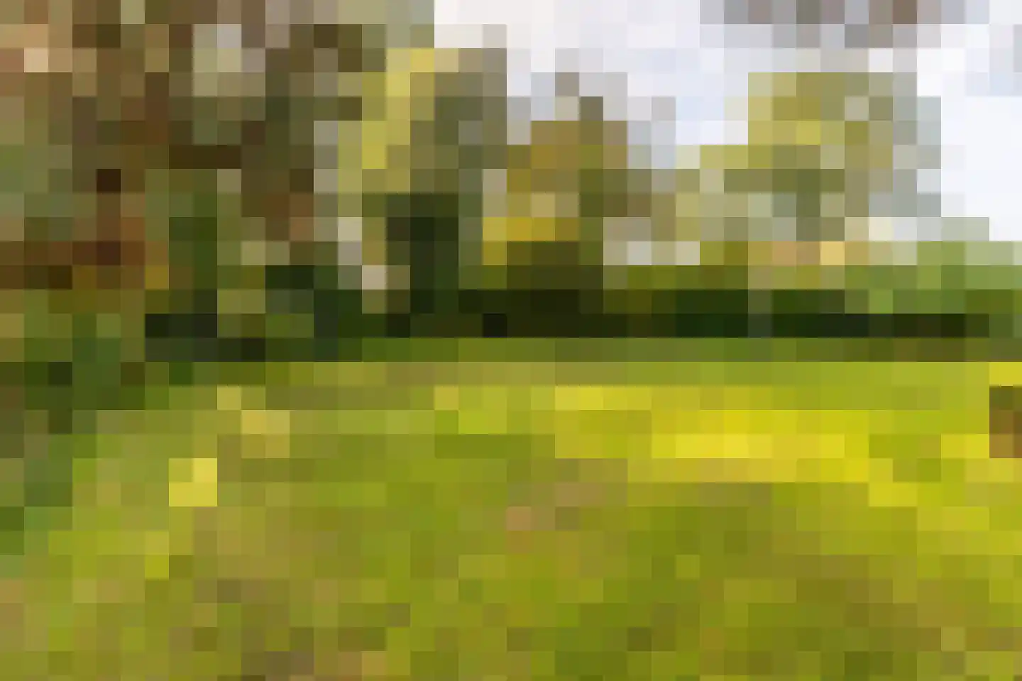 Achterdijk 36 Rhoon thumbnail 8