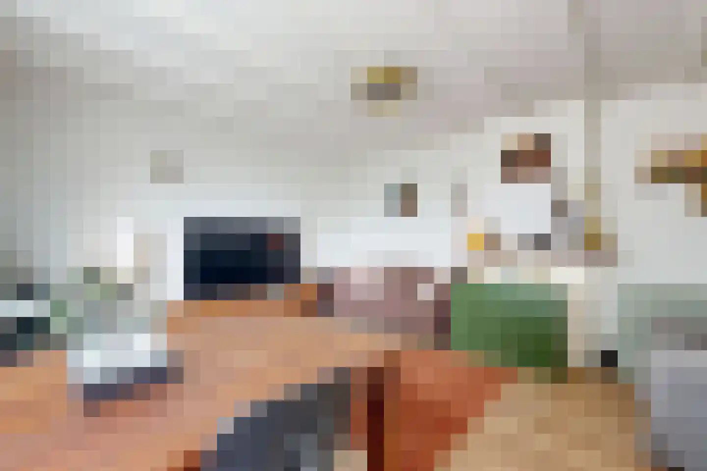 Achterdijk 36 Zevenbergschen Hoek thumbnail 12