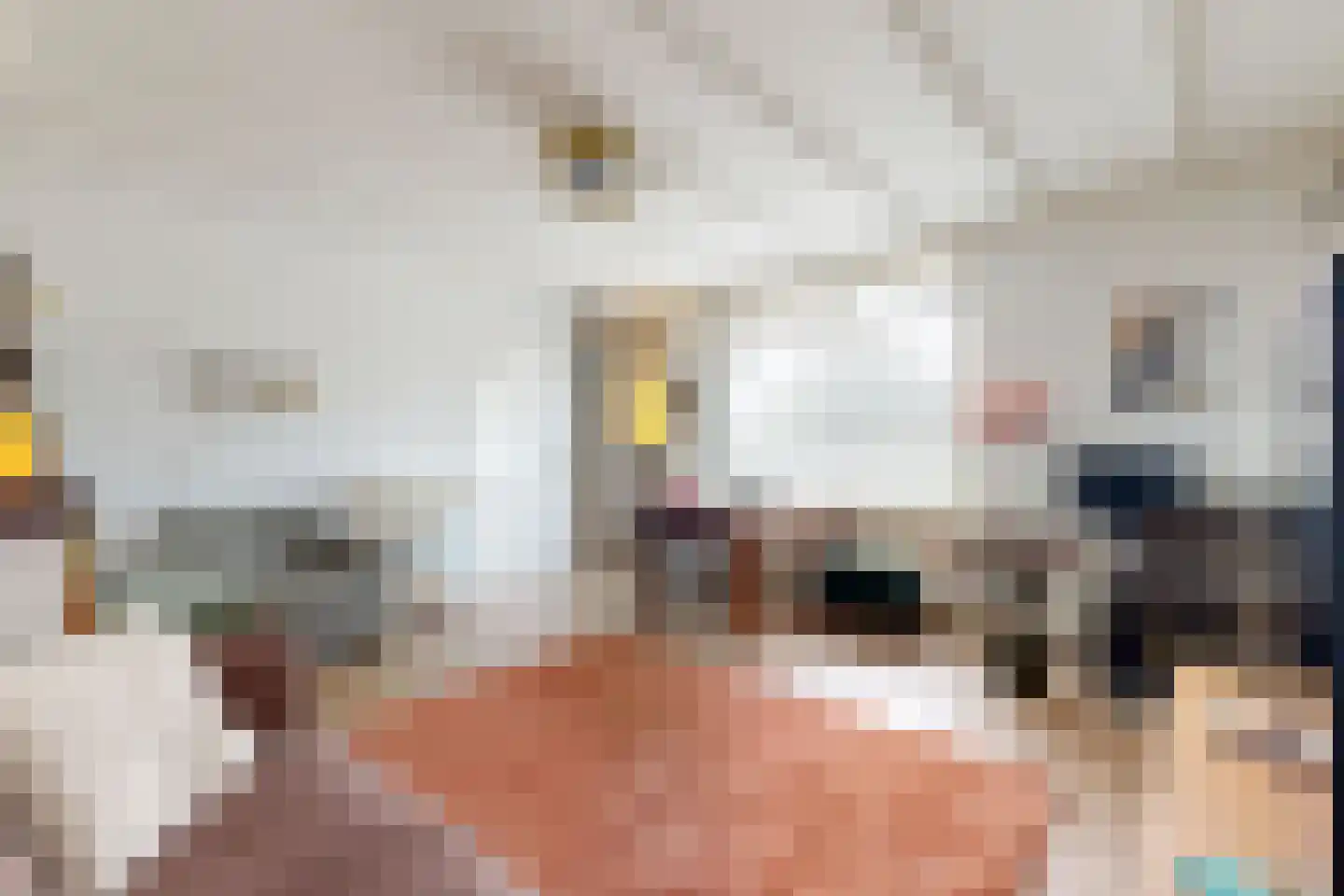 Achterdijk 36 Zevenbergschen Hoek thumbnail 13