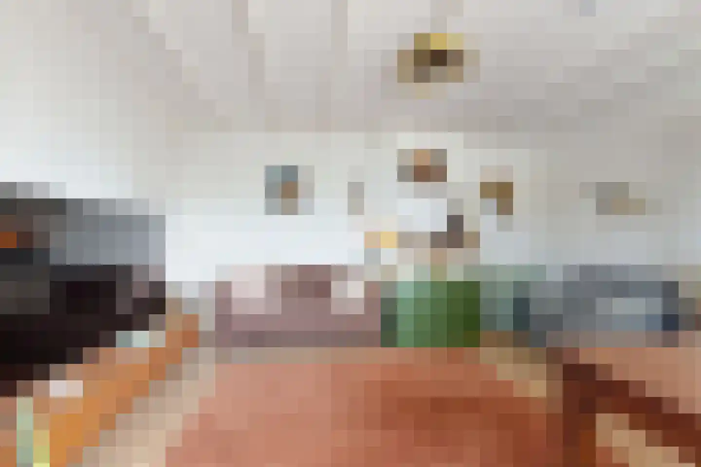 Achterdijk 36 Zevenbergschen Hoek thumbnail 15