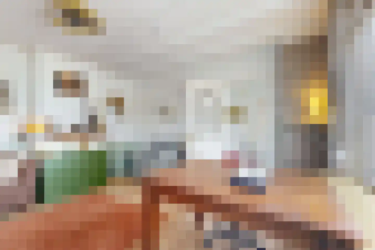 Achterdijk 36 Zevenbergschen Hoek thumbnail 16