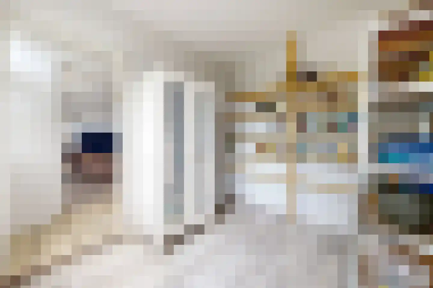 Achterdijk 36 Zevenbergschen Hoek thumbnail 18