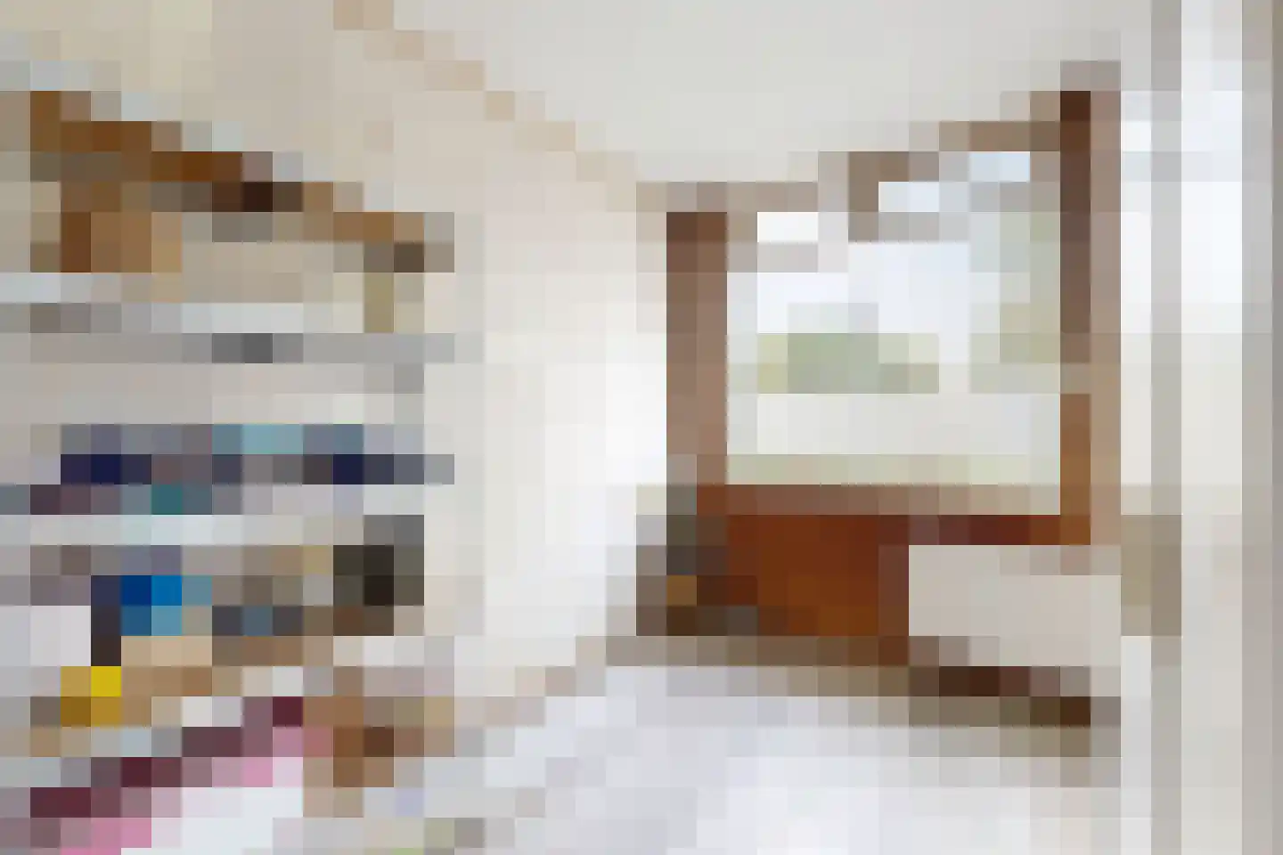 Achterdijk 36 Zevenbergschen Hoek thumbnail 19