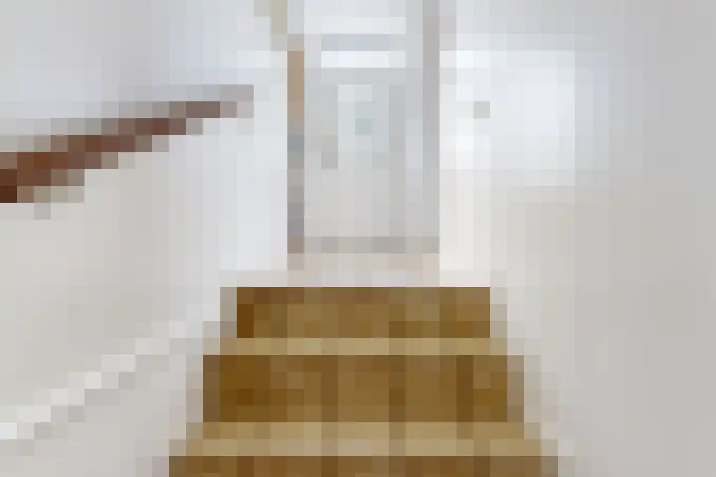 Achterdijk 36 Zevenbergschen Hoek thumbnail 21