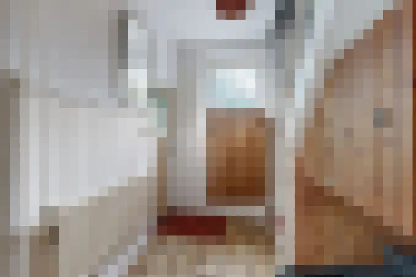 Achterdijk 36 Zevenbergschen Hoek thumbnail 24