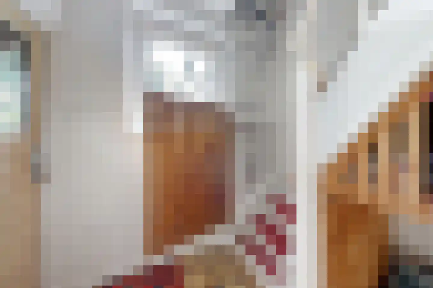 Achterdijk 36 Zevenbergschen Hoek thumbnail 25