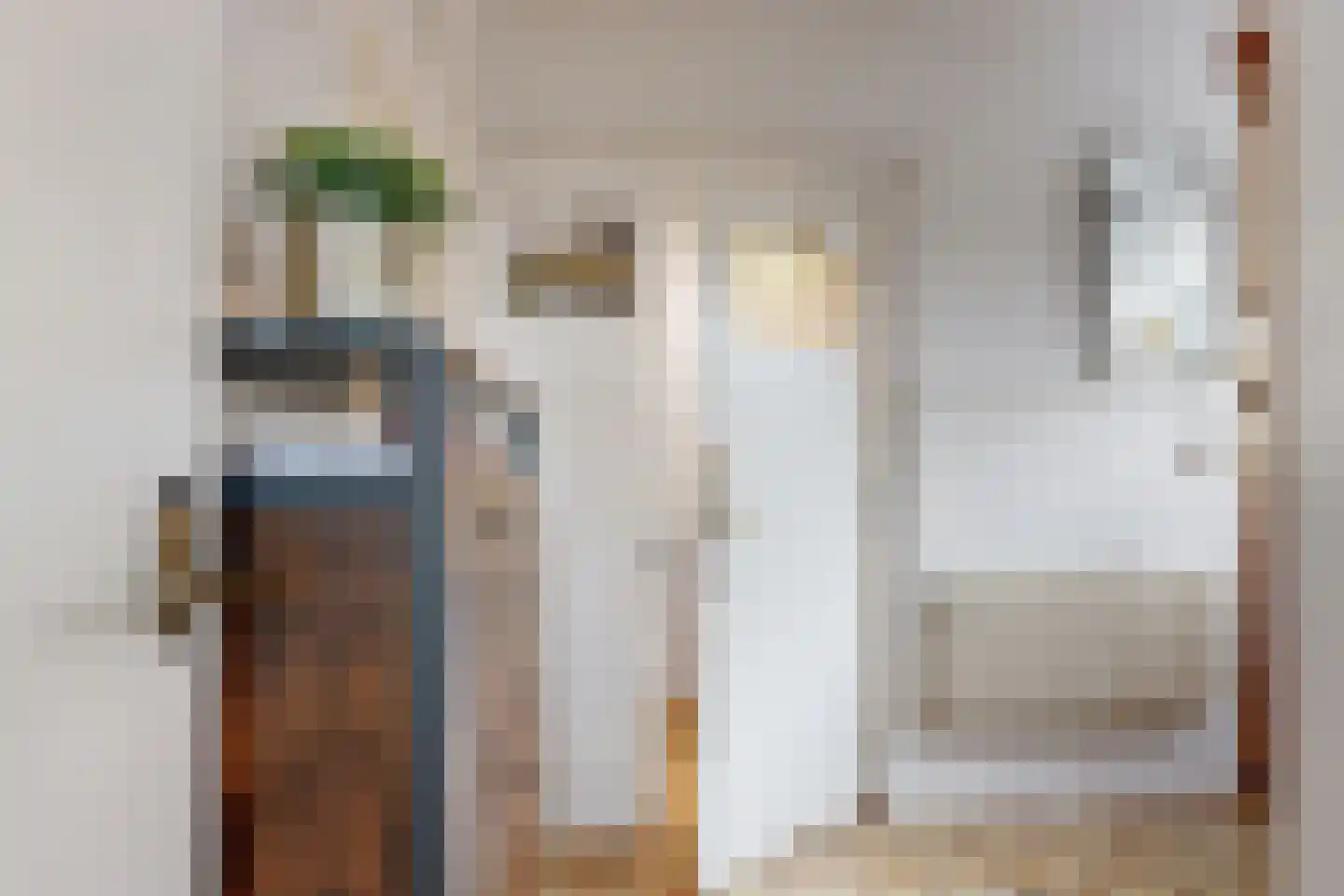 Achterdijk 36 Zevenbergschen Hoek thumbnail 26