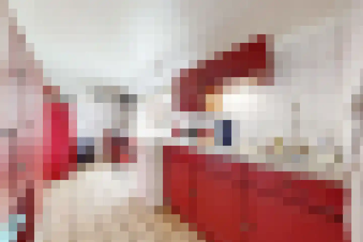 Achterdijk 36 Zevenbergschen Hoek thumbnail 29