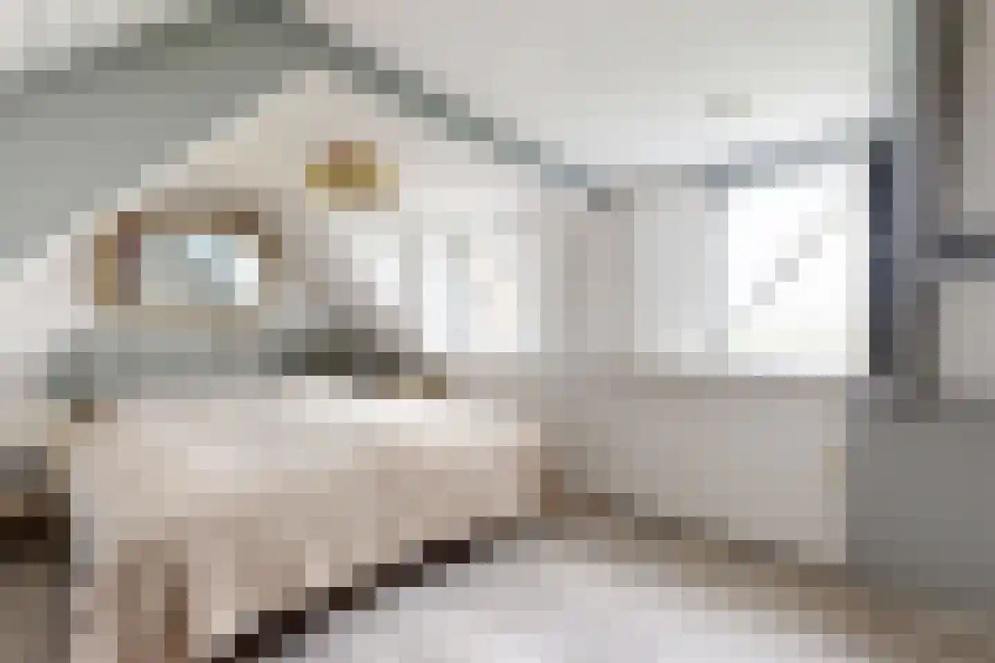 Achterdijk 36 Zevenbergschen Hoek thumbnail 36