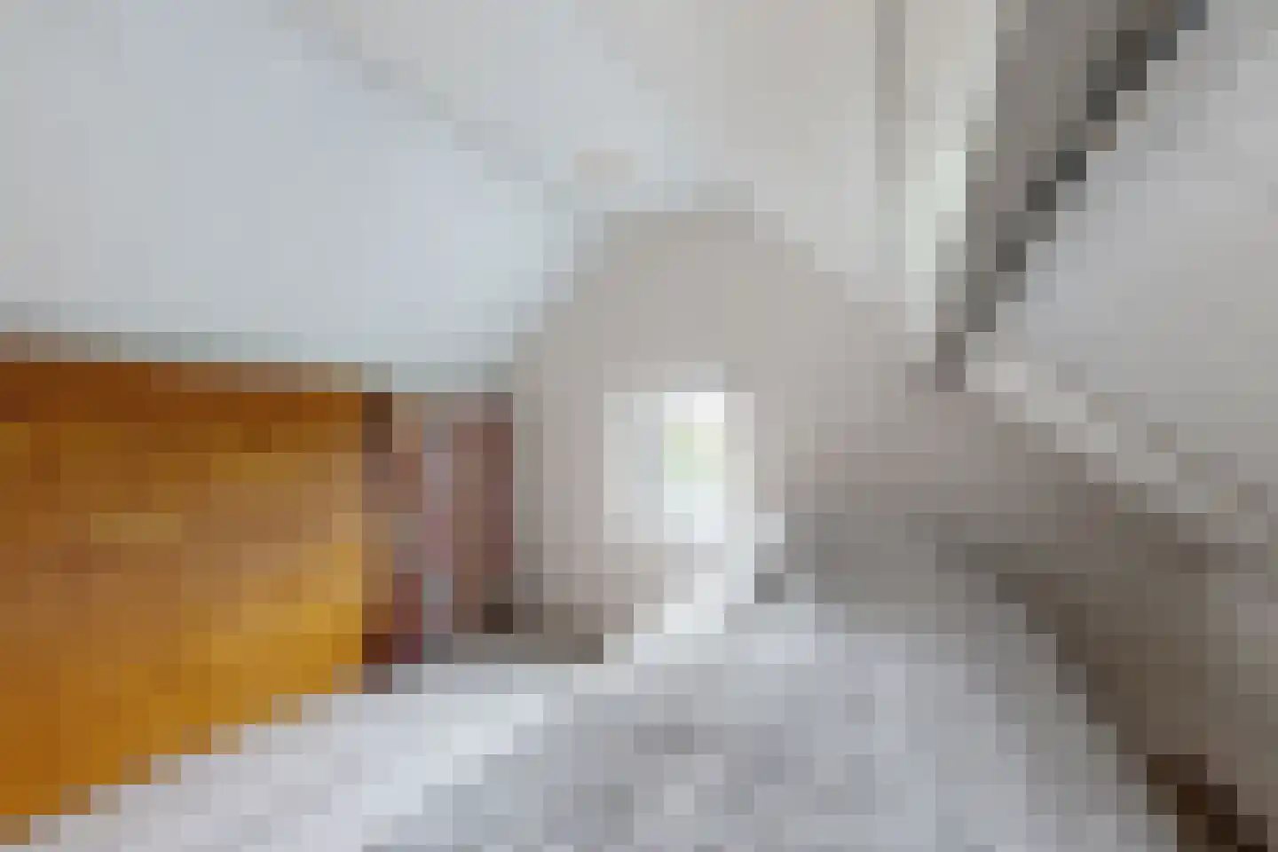 Achterdijk 36 Zevenbergschen Hoek thumbnail 39