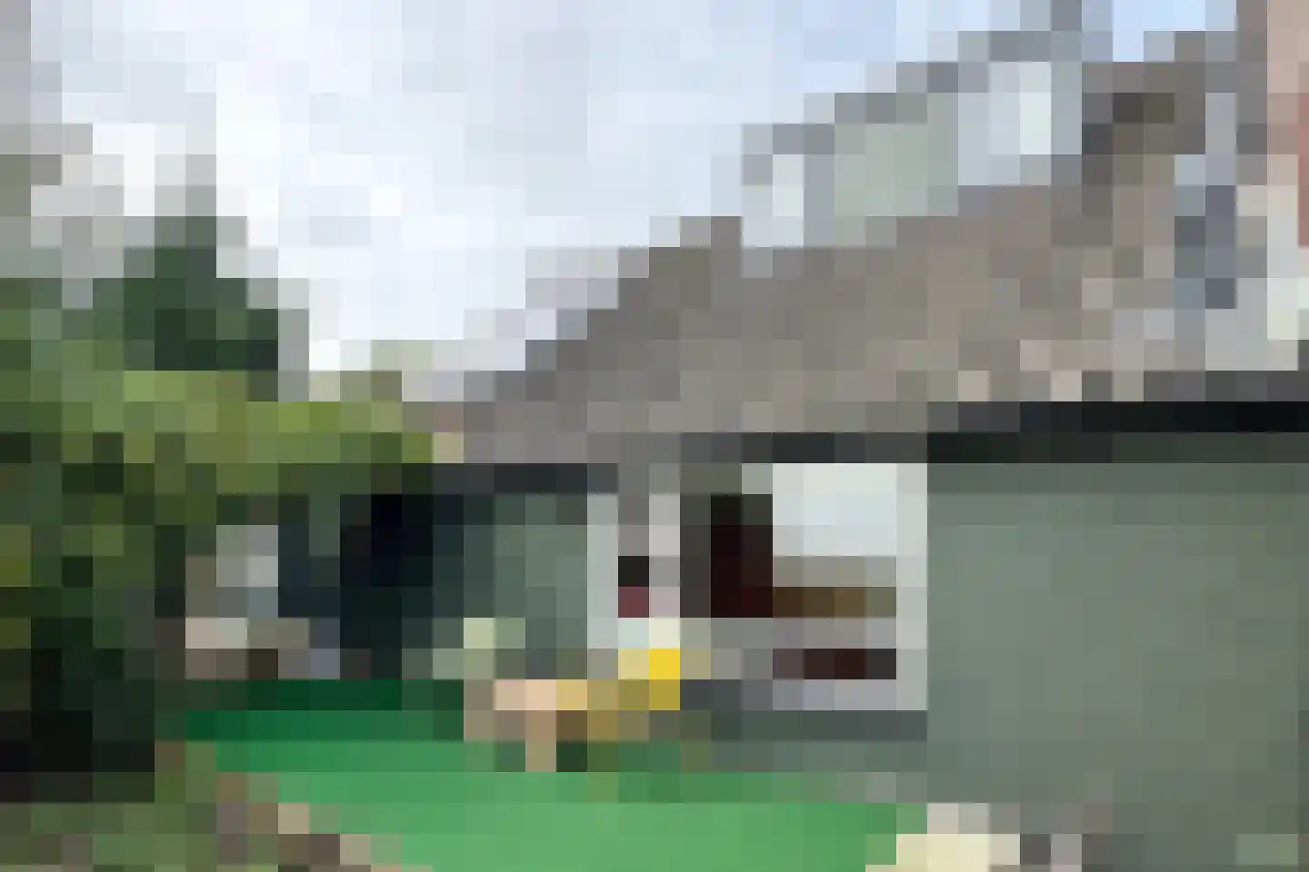 Achterdijk 36 Zevenbergschen Hoek thumbnail 41