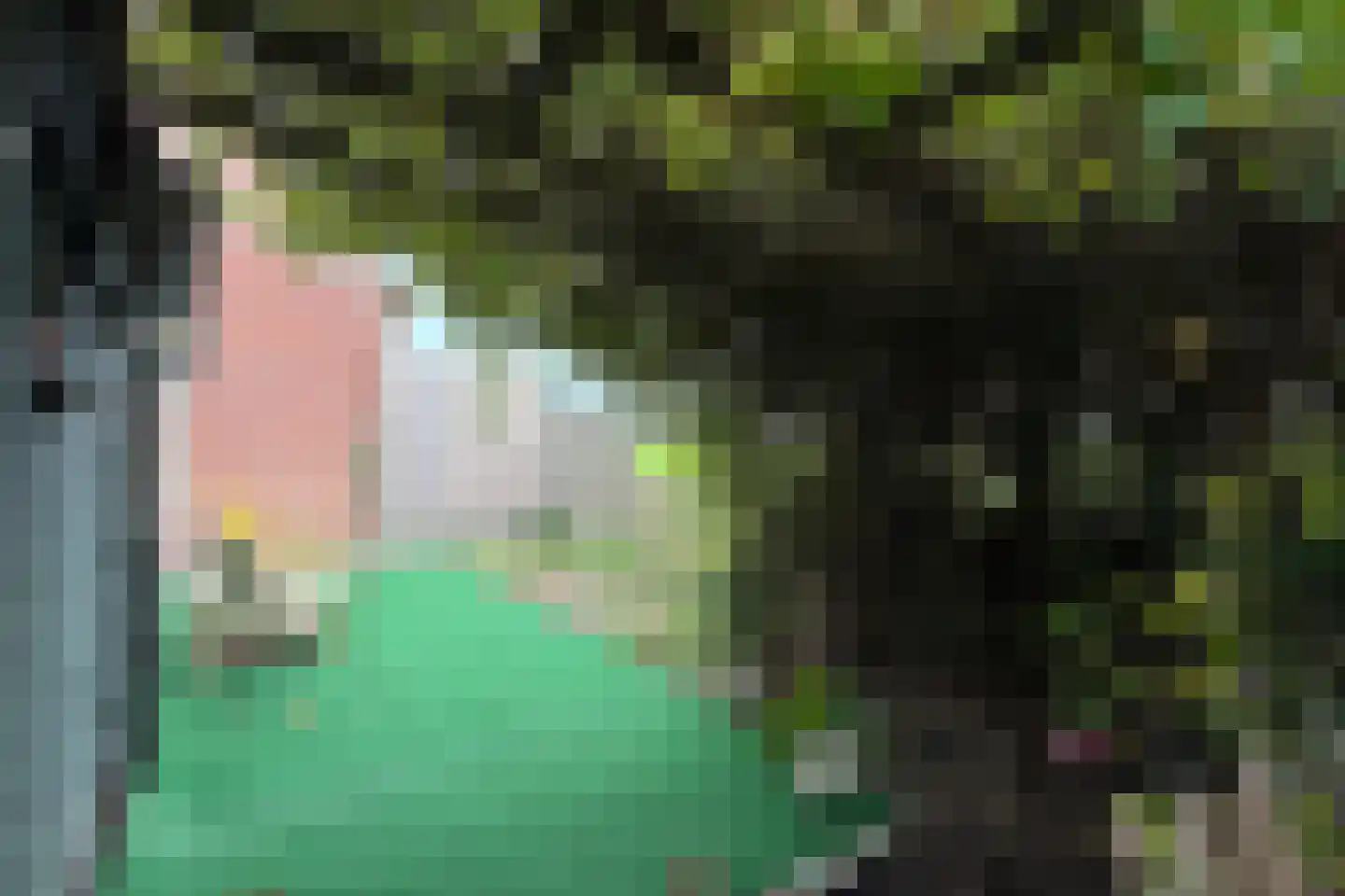 Achterdijk 36 Zevenbergschen Hoek thumbnail 43