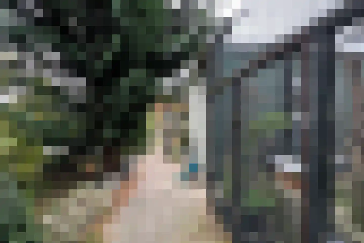 Achterdijk 36 Zevenbergschen Hoek thumbnail 45