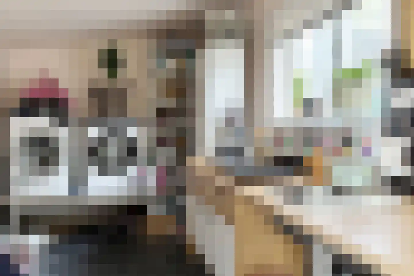 Achterdijk 36 Zevenbergschen Hoek thumbnail 46