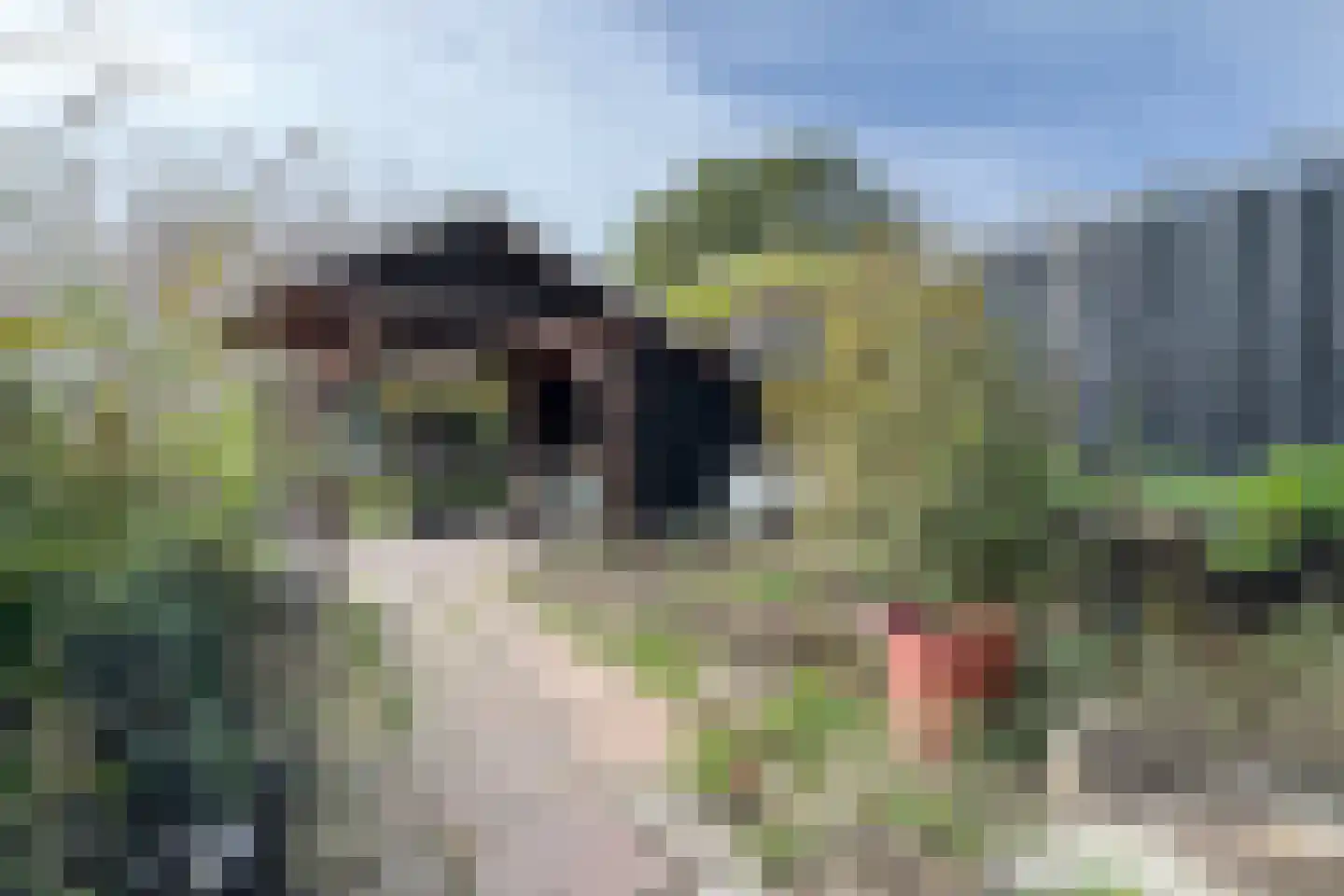 Achterdijk 36 Zevenbergschen Hoek thumbnail 48