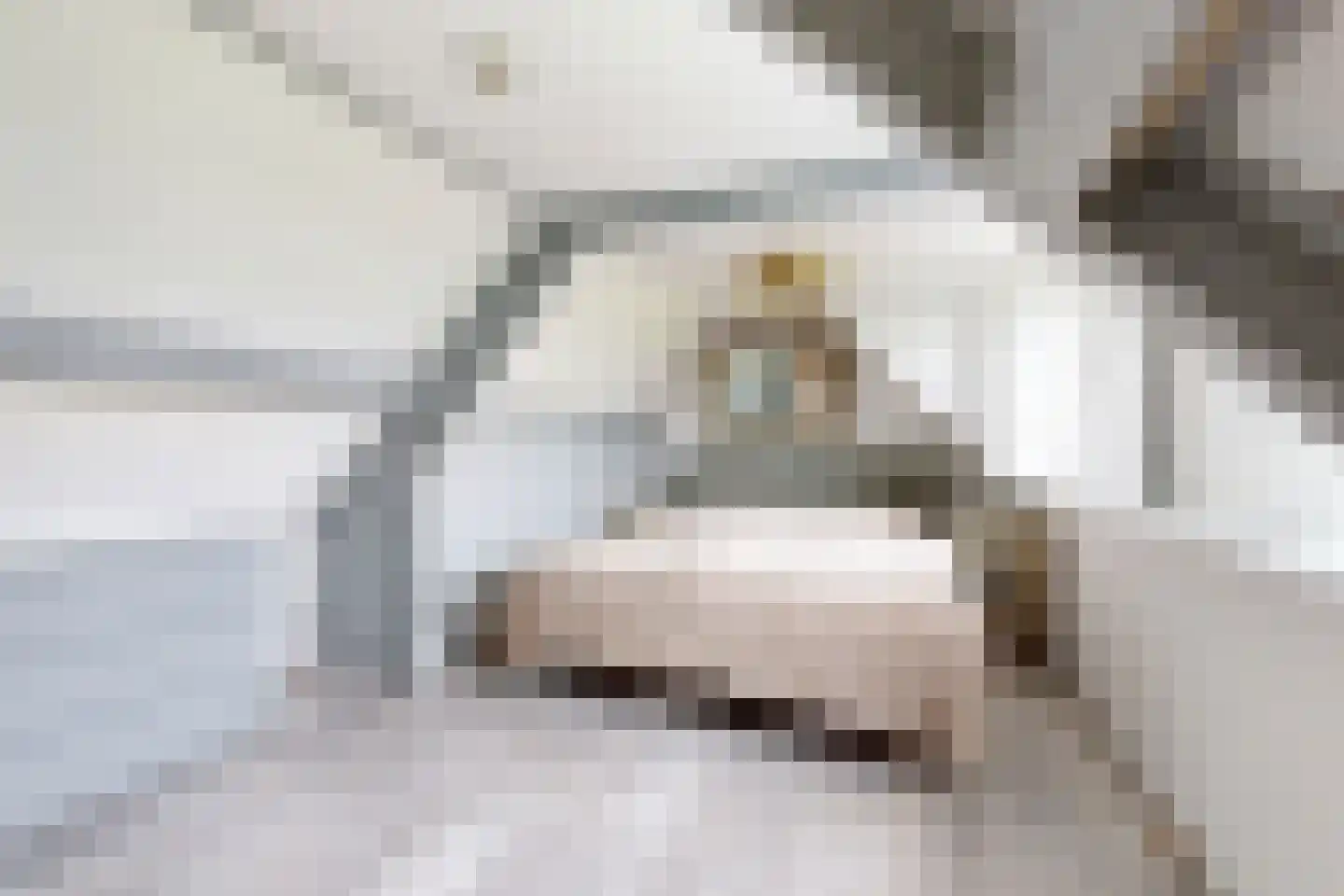 Achterdijk 36 Zevenbergschen Hoek thumbnail 5