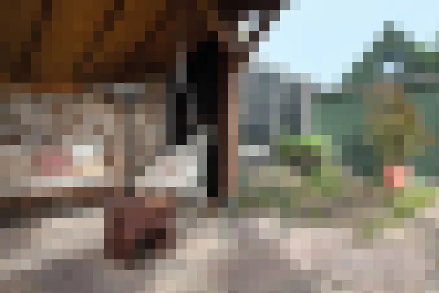 Achterdijk 36 Zevenbergschen Hoek thumbnail 51