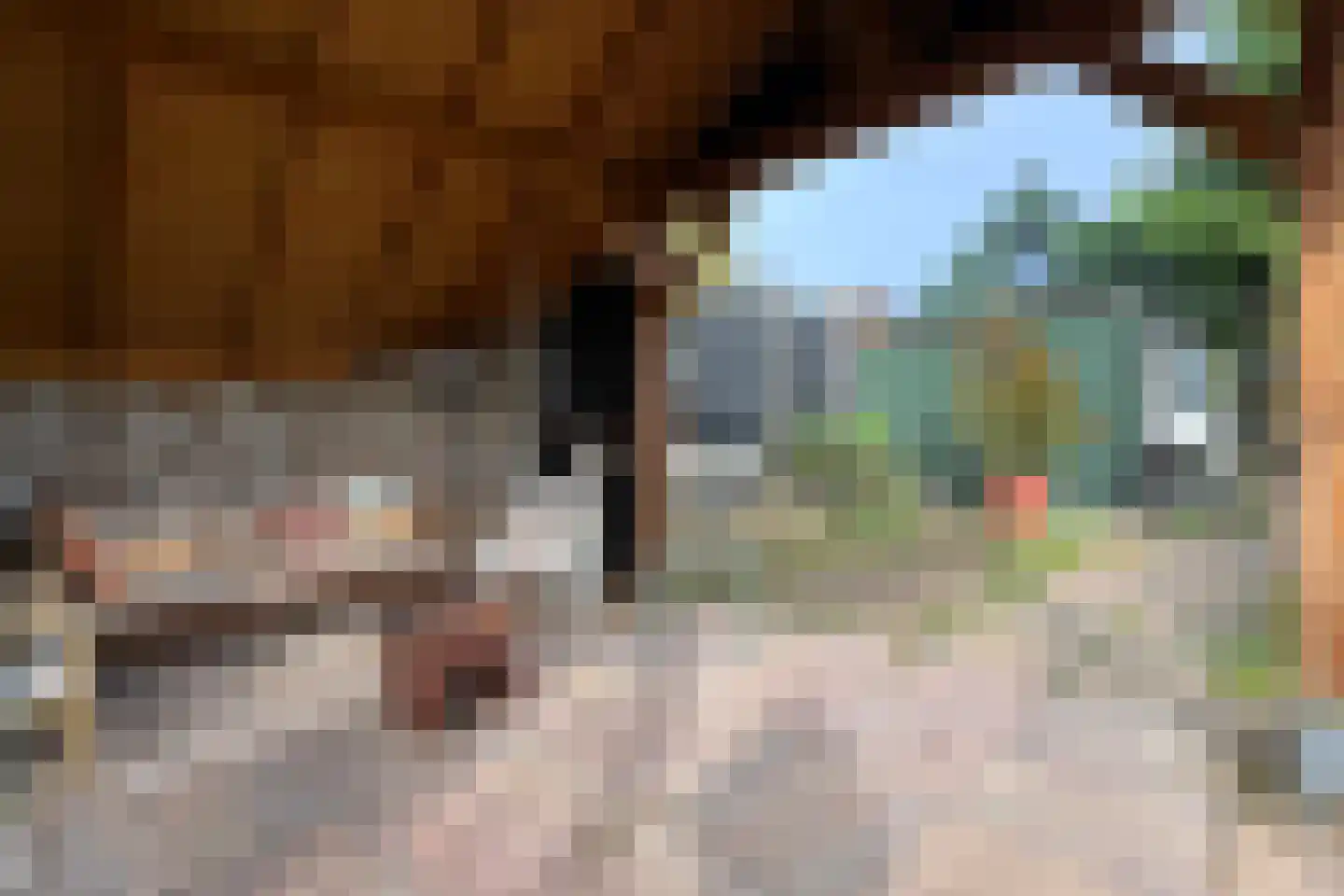 Achterdijk 36 Zevenbergschen Hoek thumbnail 52