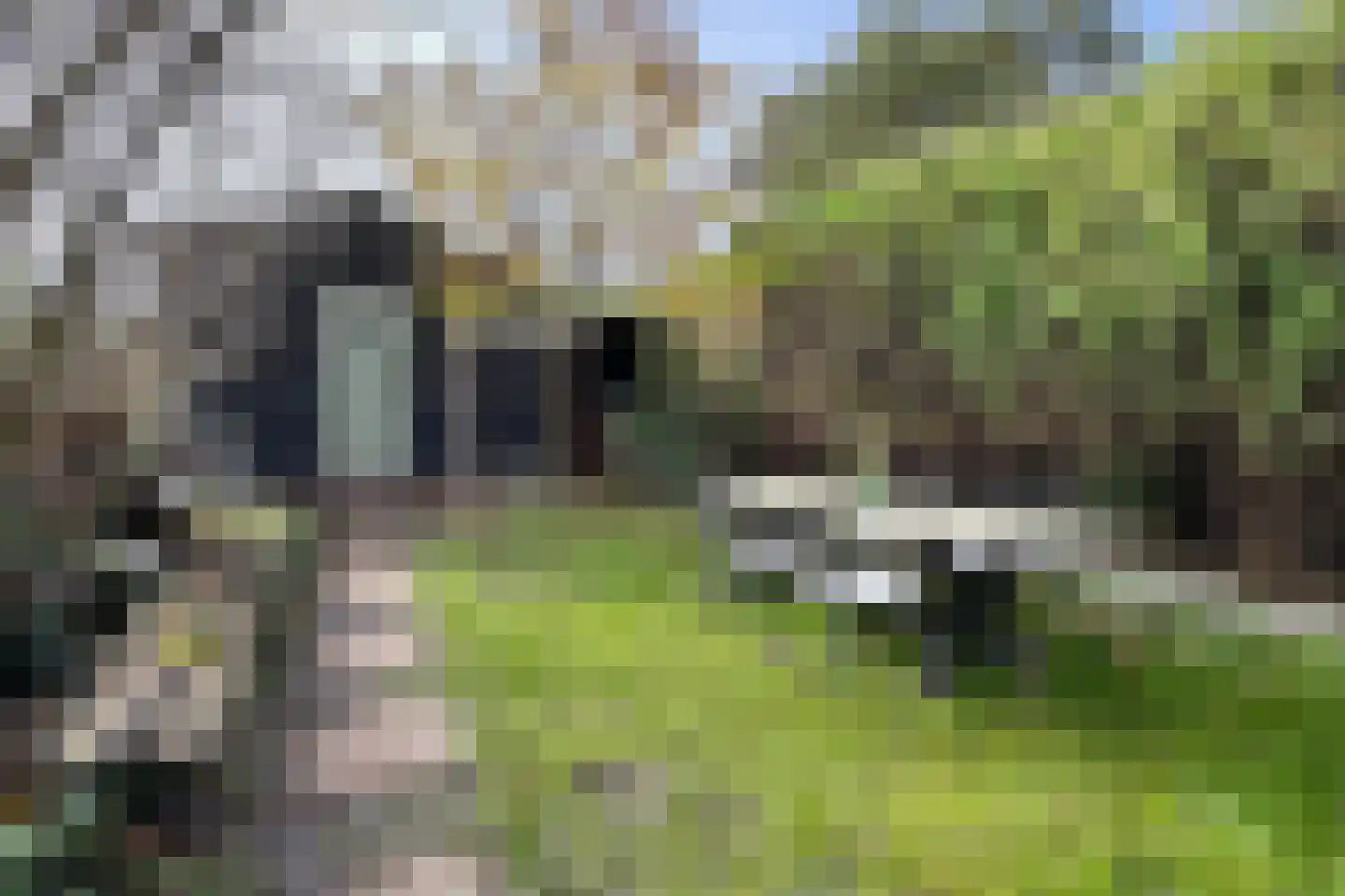 Achterdijk 36 Zevenbergschen Hoek thumbnail 55