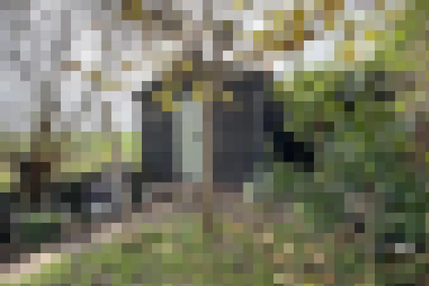 Achterdijk 36 Zevenbergschen Hoek thumbnail 57