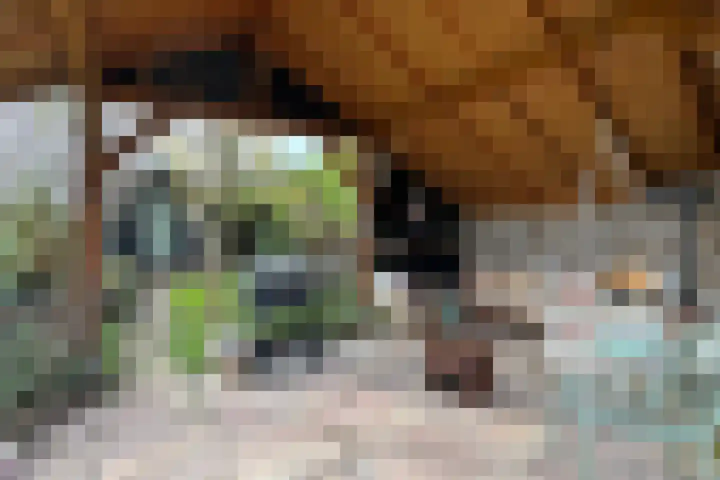 Achterdijk 36 Zevenbergschen Hoek thumbnail 6