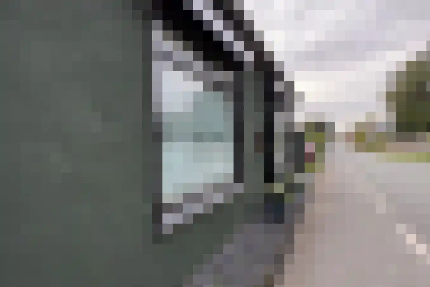 Achterdijk 36 Zevenbergschen Hoek thumbnail 64