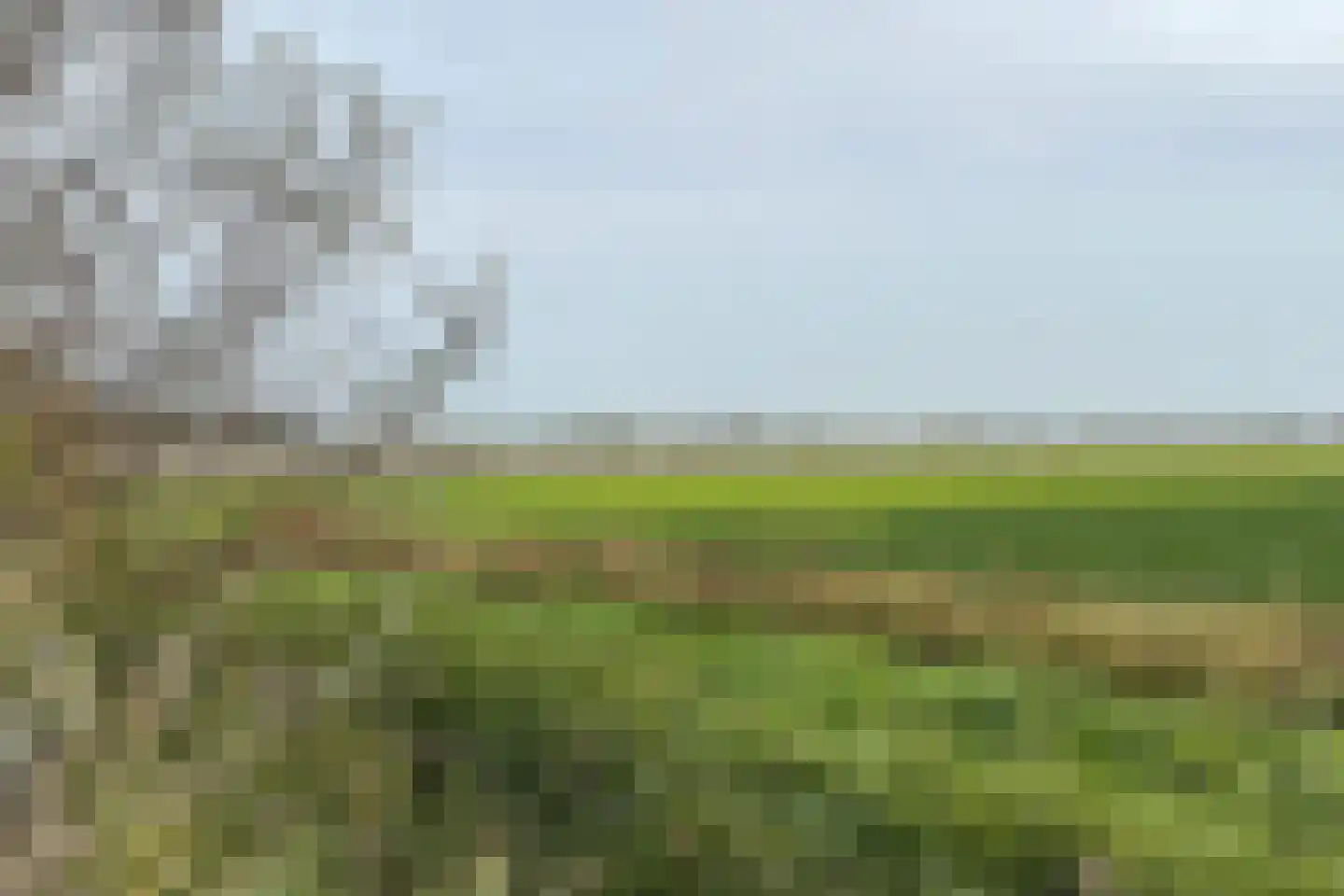 Achterdijk 36 Zevenbergschen Hoek thumbnail 66