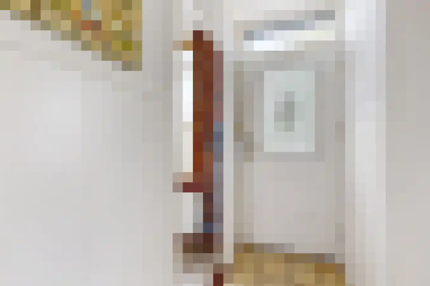Achterdijk 36 Zevenbergschen Hoek thumbnail 8