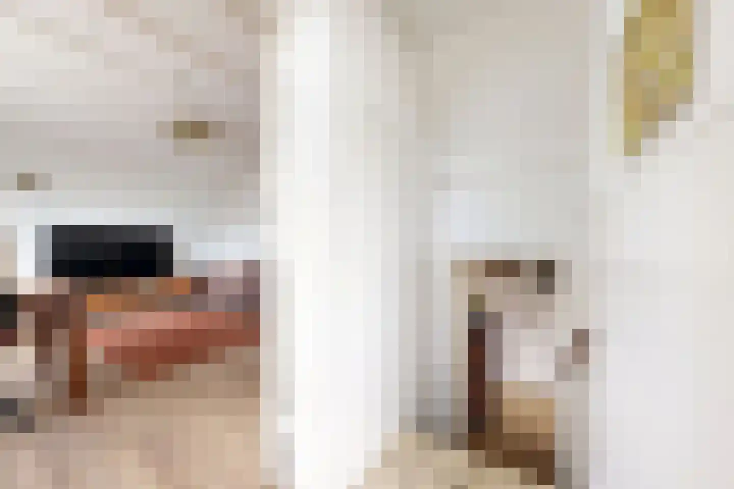 Achterdijk 36 Zevenbergschen Hoek thumbnail 9