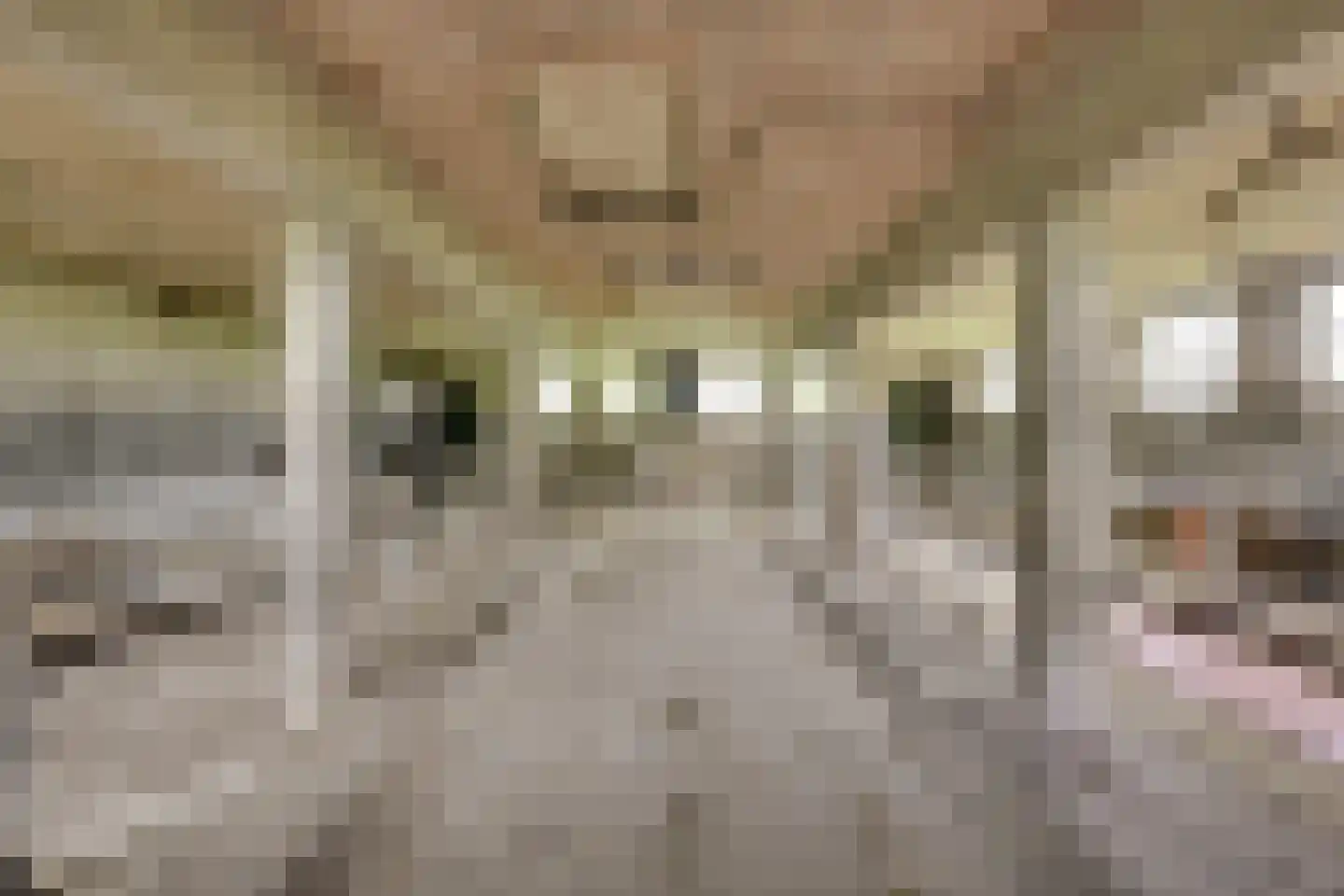 Achterdijk 38 Odijk thumbnail 23